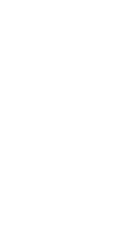 Escudo armada