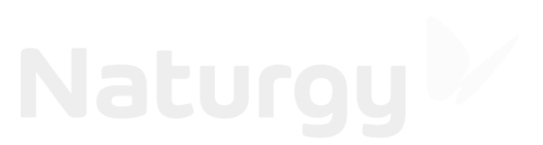 Naturgy